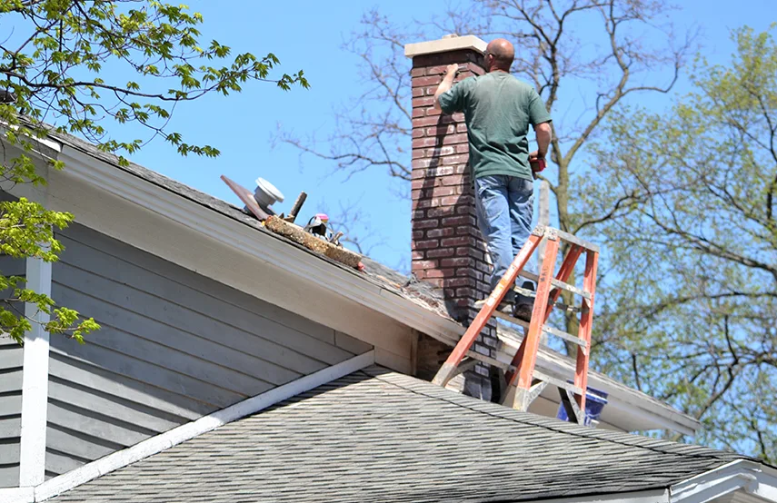 Chimney & Fireplace Inspections Services in Edinburg, TX